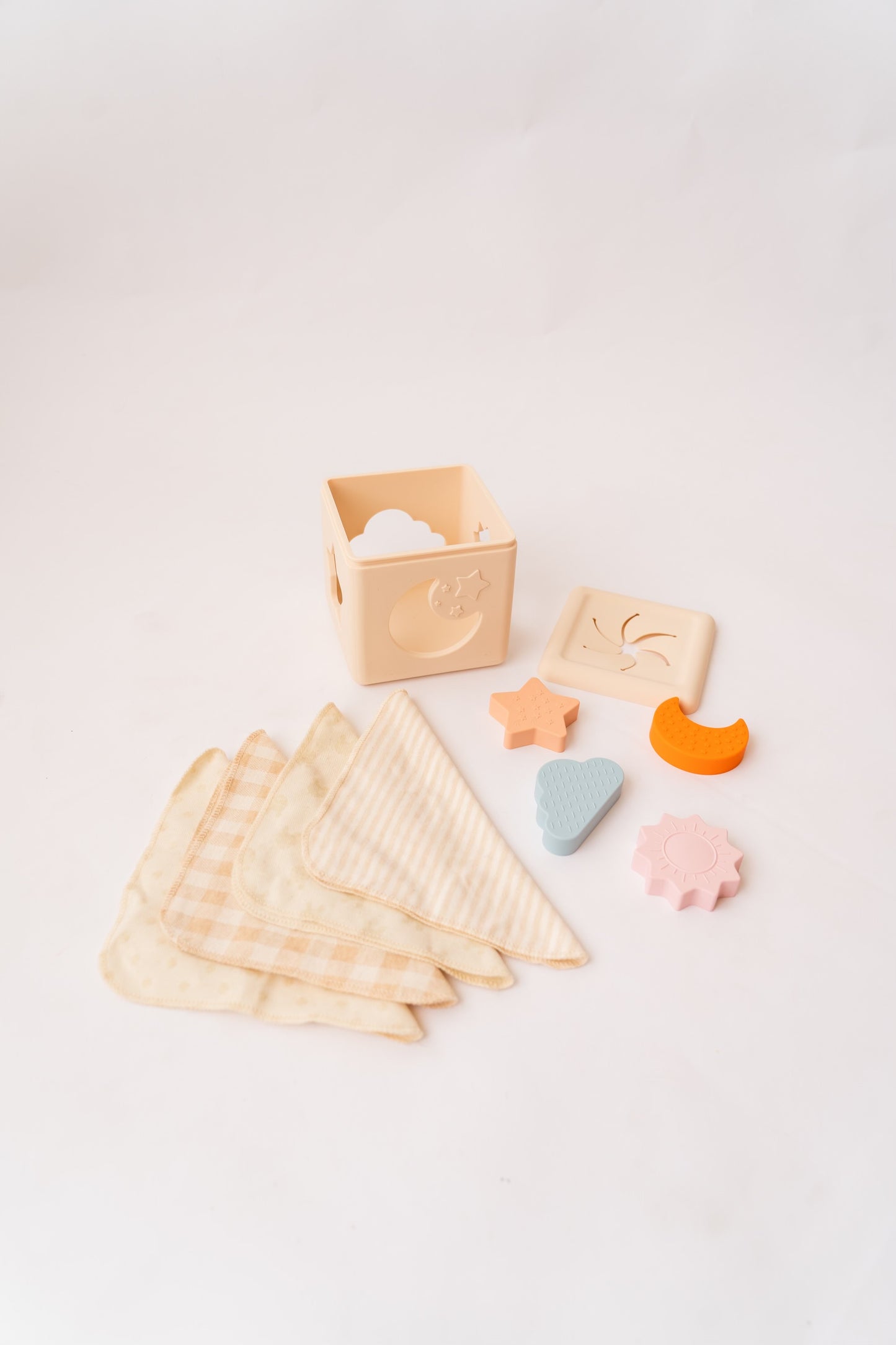 Sensory Tissue Shape Sorter