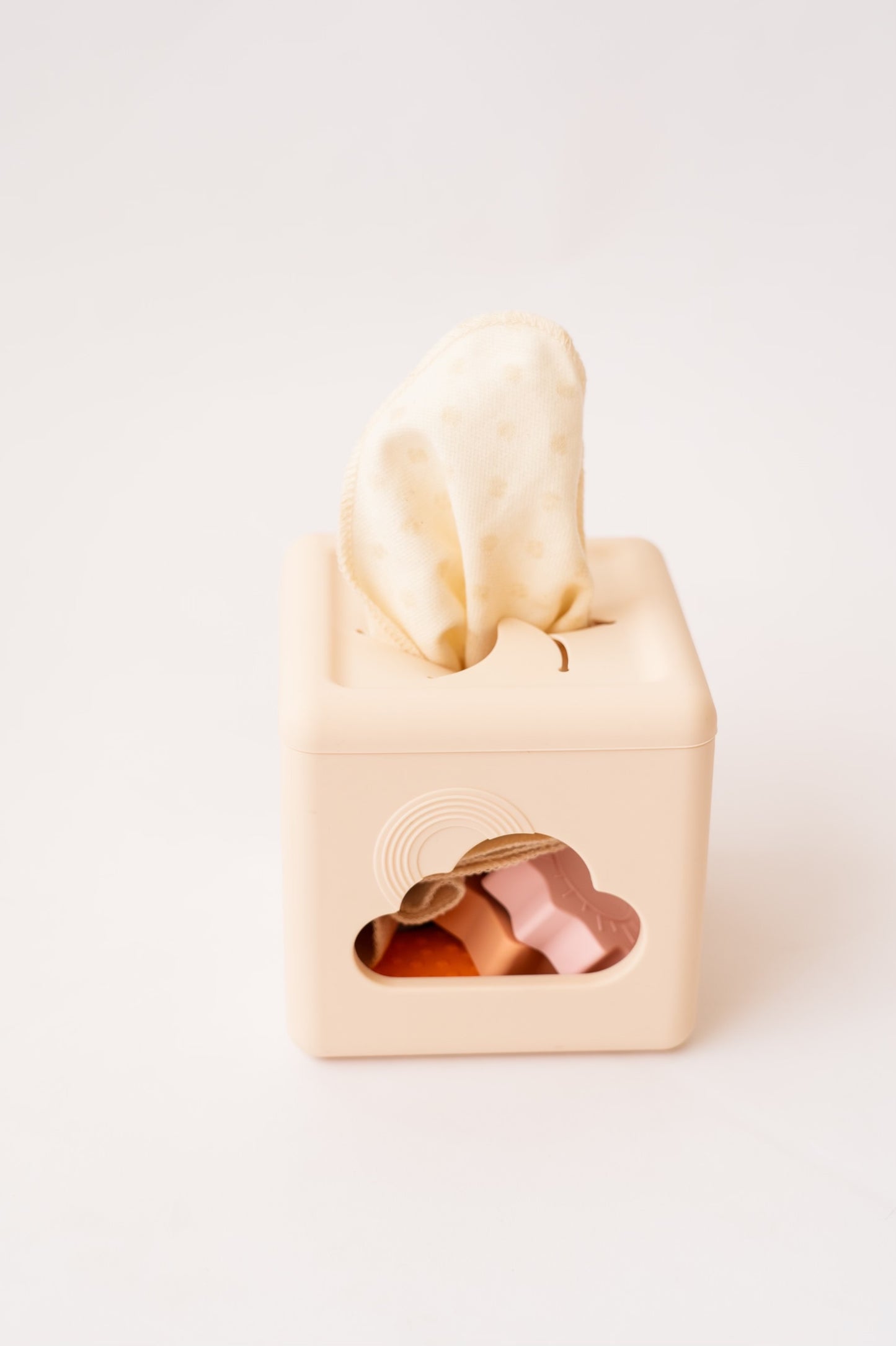 Sensory Tissue Shape Sorter