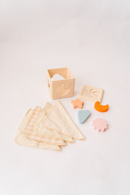 Sensory Tissue Shape Sorter