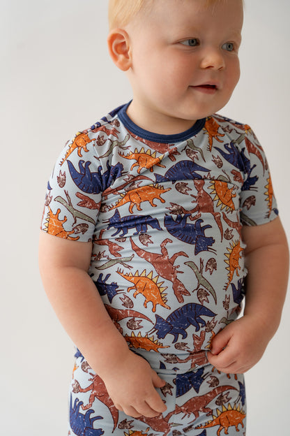 Blue Dino 2 piece shorty PJ's