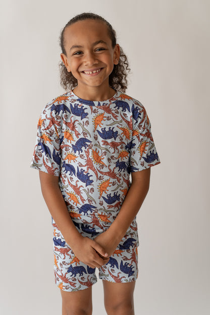 Blue Dino Boy's Casual Day Set