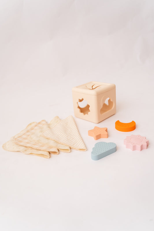 Sensory Tissue Shape Sorter