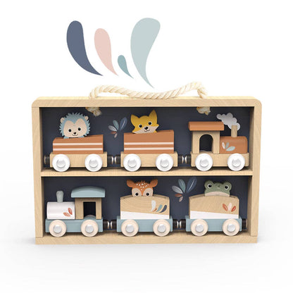 Wooden Train Set Display Case